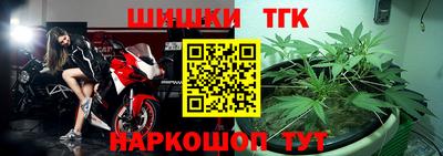 индика Аргун
