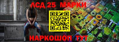 индика Аргун