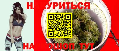 индика Аргун
