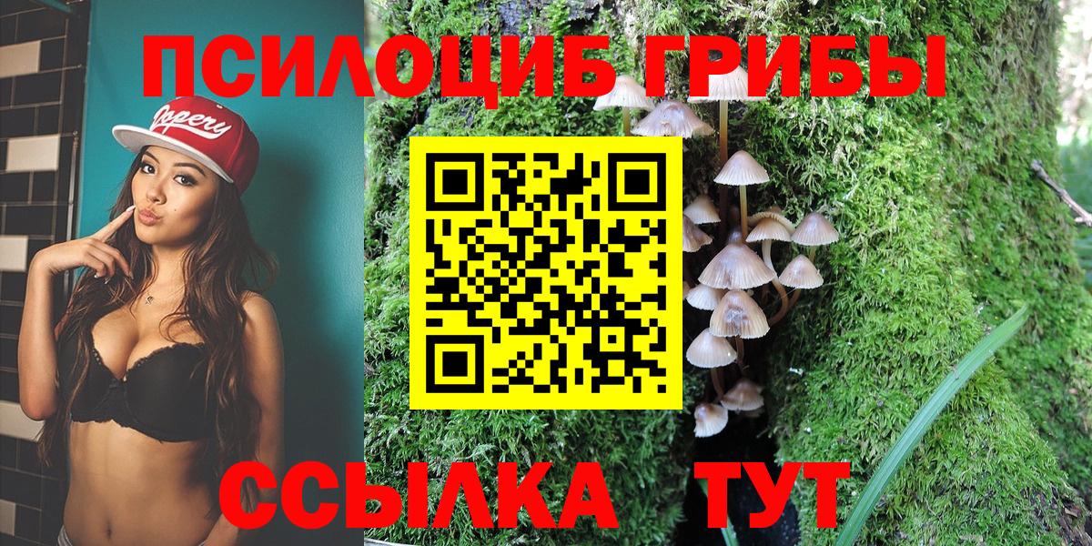 Псилоцибиновые грибы Magic Shrooms  Вход с VPN  Воскресенск  Псилоцибиновые грибы GOLDEN TEACHER 